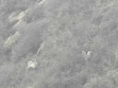 -苏木山森林公园