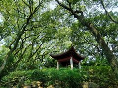 -天一阁博物院