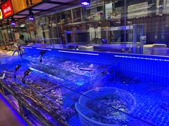 -渔民船说·北塘海鲜·天津菜·海肠捞饭(北塘古镇店)