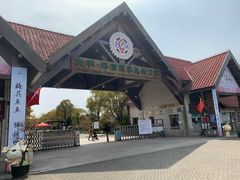 -上海海湾国家森林公园