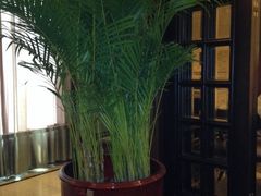 iphone_upload_pic-粗茶淡饭·汉口公馆(循礼门店)