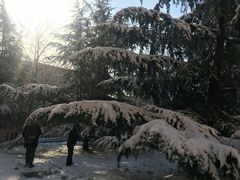 -大连理工大学(凌水校区)
