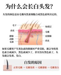 -希梵尔头皮抗衰·科技养发