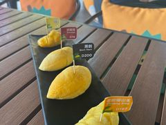 -榴莲BB 四季果园