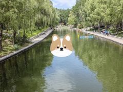 -朝阳公园