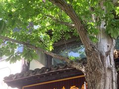 -兴福老面馆(寺路街店)