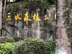 -三水森林公园
