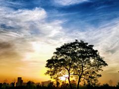 -汉长安城未央宫国家考古遗址公园