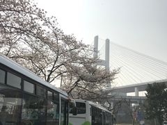 -上海南浦大桥长途旅游客运站