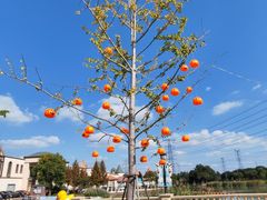 -蓝精灵乐园·世茂精灵之城主题乐园