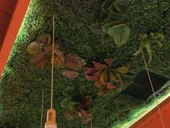 -炭舍干锅·烤鱼(扬名广场店)