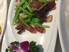 -云中小雅