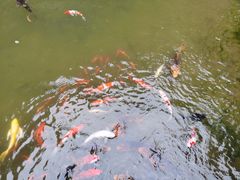 -陶祖圣境风景区