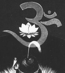 点击看大图 -Y+瑜伽会所