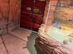 -正佳雨林生态植物园