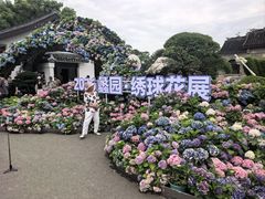 -无锡蠡湖国家湿地公园-蠡园