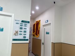 -瑞派康怡24h宠物医院·犬猫医疗中心·微创绝育(瑞景分院)