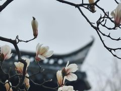 -水绘园
