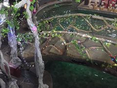 -裕龙汤泉