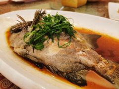 -竹溪百福酒家(同和店)