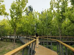 -东郊湿地公园