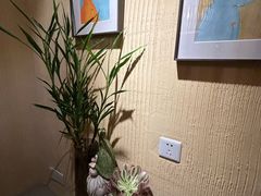 -萤火虫咖啡(后海店)