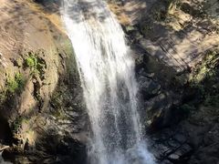 -九龙江国家森林公园