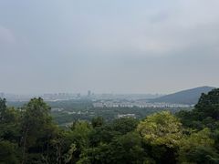 -苏州上方山国家森林公园