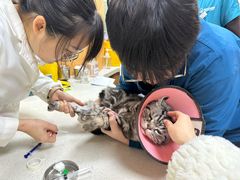 -联合动物医院(光谷诊疗中心)
