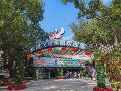 -广州长隆飞鸟乐园