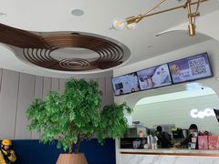 -CoCo都可(中联广场店)