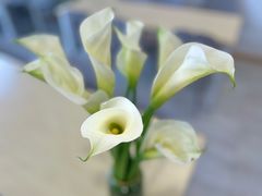 -双季花艺园艺市场(浦东店)