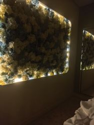 -美丽田园
