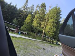 -武陵山森林公园