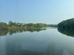 -福建鲤鱼洲酒店