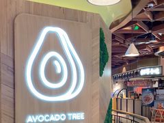 -油梨树AVOCADO TREE(嘉里中心店)