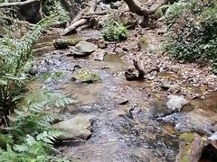-莫里热带雨林景区