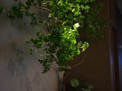 -唐宫足道·SPA·住宿24H会所(木渎店)