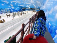 -世界之窗阿尔卑斯冰雪世界