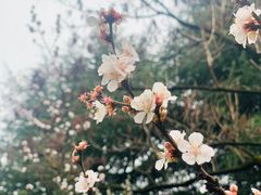 -白塘生态植物园