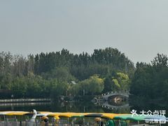 -塘沽森林公园