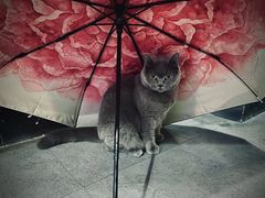 -KingBull私教健身&格斗订制(龙井商业中心店)