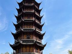 -红梅公园