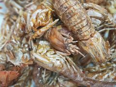 -源海渔村·现捞海鲜(大角湾店)