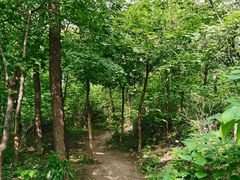 -阳台山自然风景区