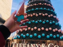 -Tiffany & Co.蒂芙尼
(南京德基广场店)