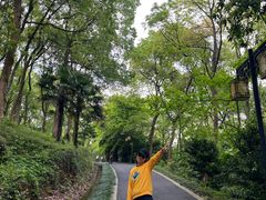-平湖九龙山旅游度假区