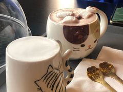 -房东的猫宠物生活馆