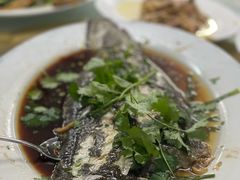 -新陶陶酒家