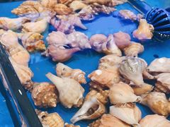 -北塘海鲜·天津菜(大光明桥旗舰店)